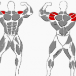 Schultern Übungen